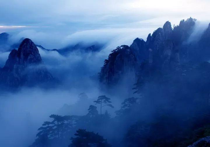 每一片茶叶的浮沉,都是一种缘定,不空不昧