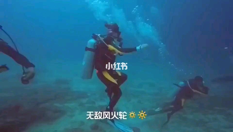 救援可爱小松鼠