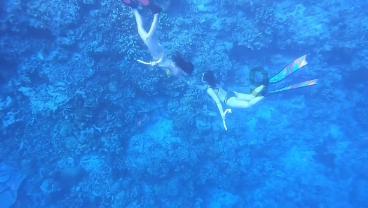 拯救电力塔的泰坦