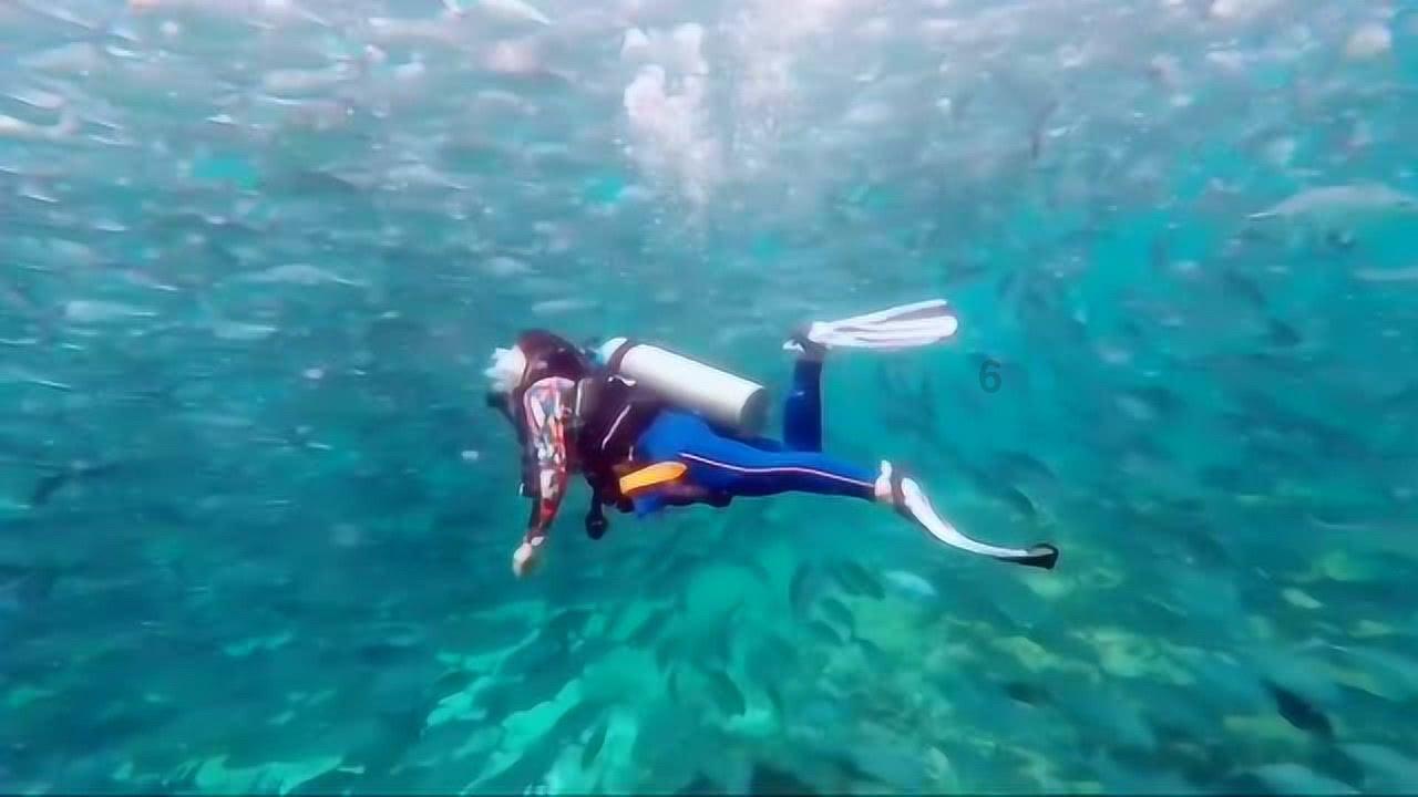 ​浙江永强拟斥资140万元参股设立子公司，主要从事销售业务